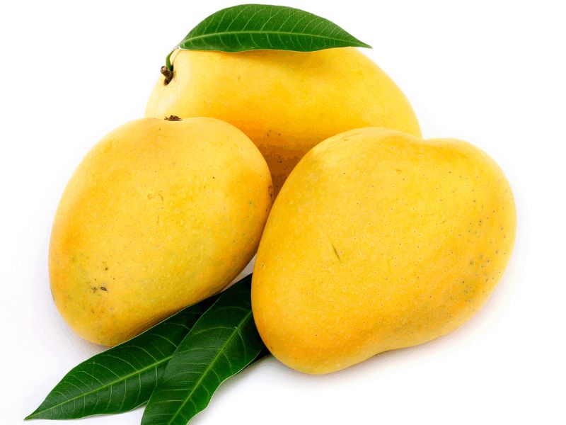 Mango